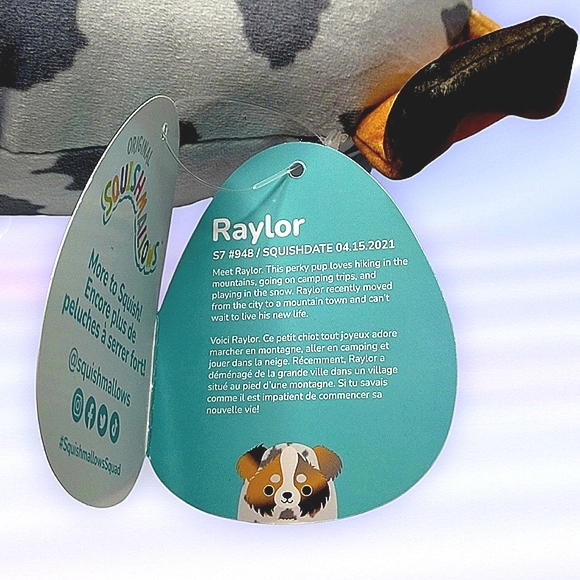 🔴CLOSING / FINAL PRICE RAYLOR 7" Australian Sheppard Dog Squishmallows - Picture 6 of 8